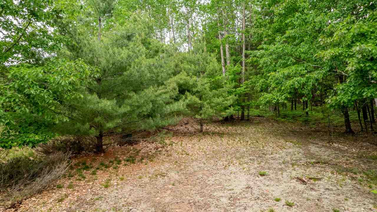 5765 Lodgepole Road Harbor Springs MI 49740