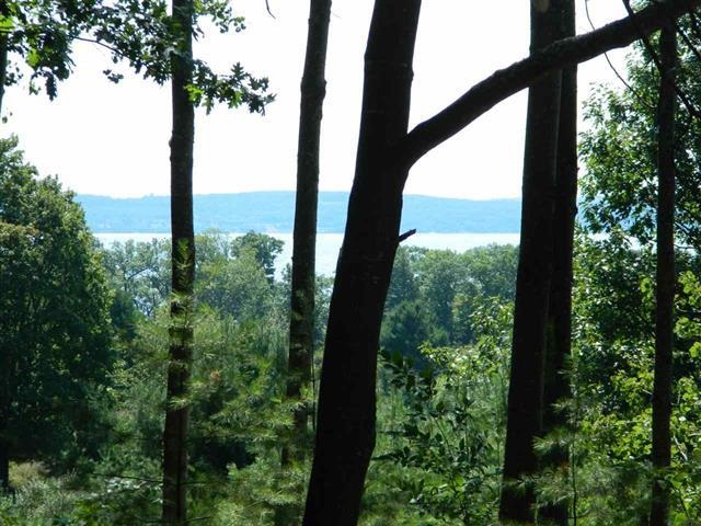 5765 Lodgepole Road Harbor Springs MI 49740