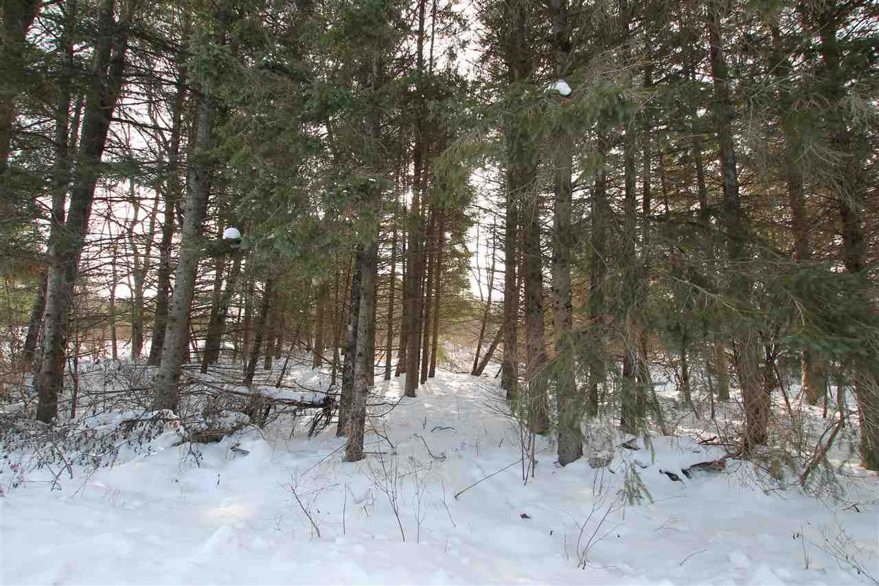Ellsworth Road Ellsworth MI 49729