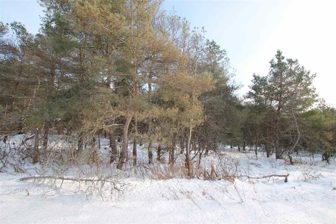 Ellsworth Road Ellsworth MI 49729
