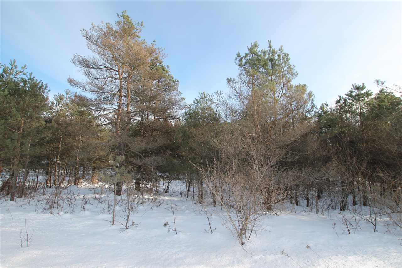 Ellsworth Road Ellsworth MI 49729