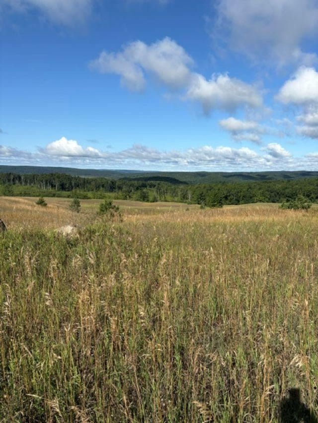 Tbd Harmon Road Petoskey MI 49770