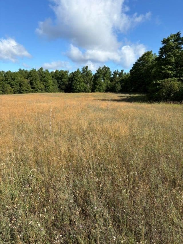 Tbd Harmon Road Petoskey MI 49770