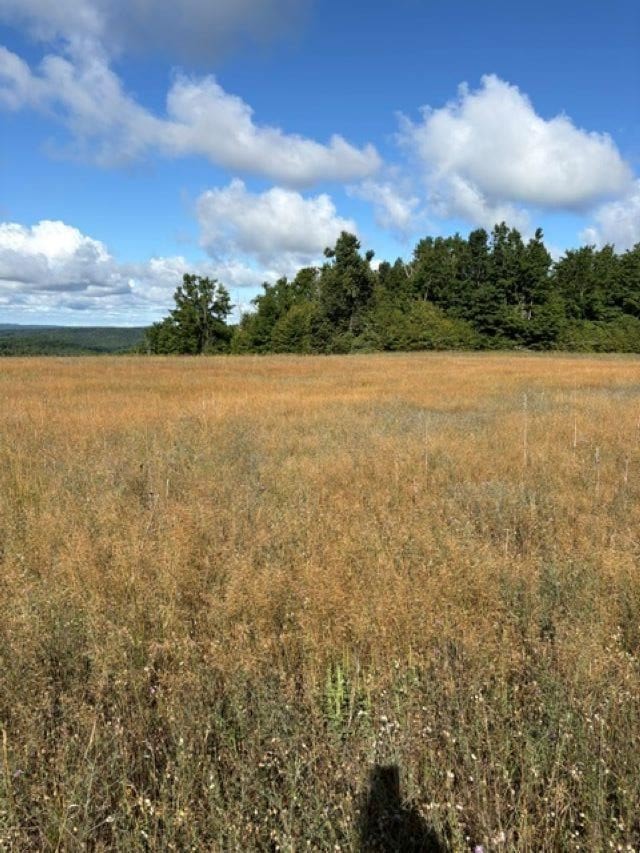 Tbd Harmon Road Petoskey MI 49770