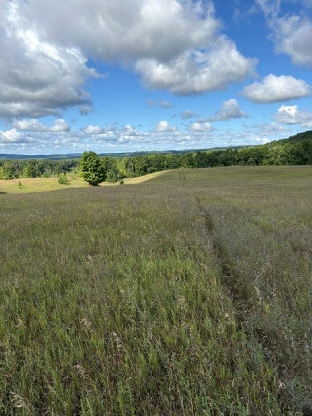Tbd Harmon Road Petoskey MI 49770