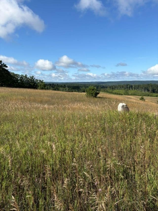 Tbd Harmon Road Petoskey MI 49770