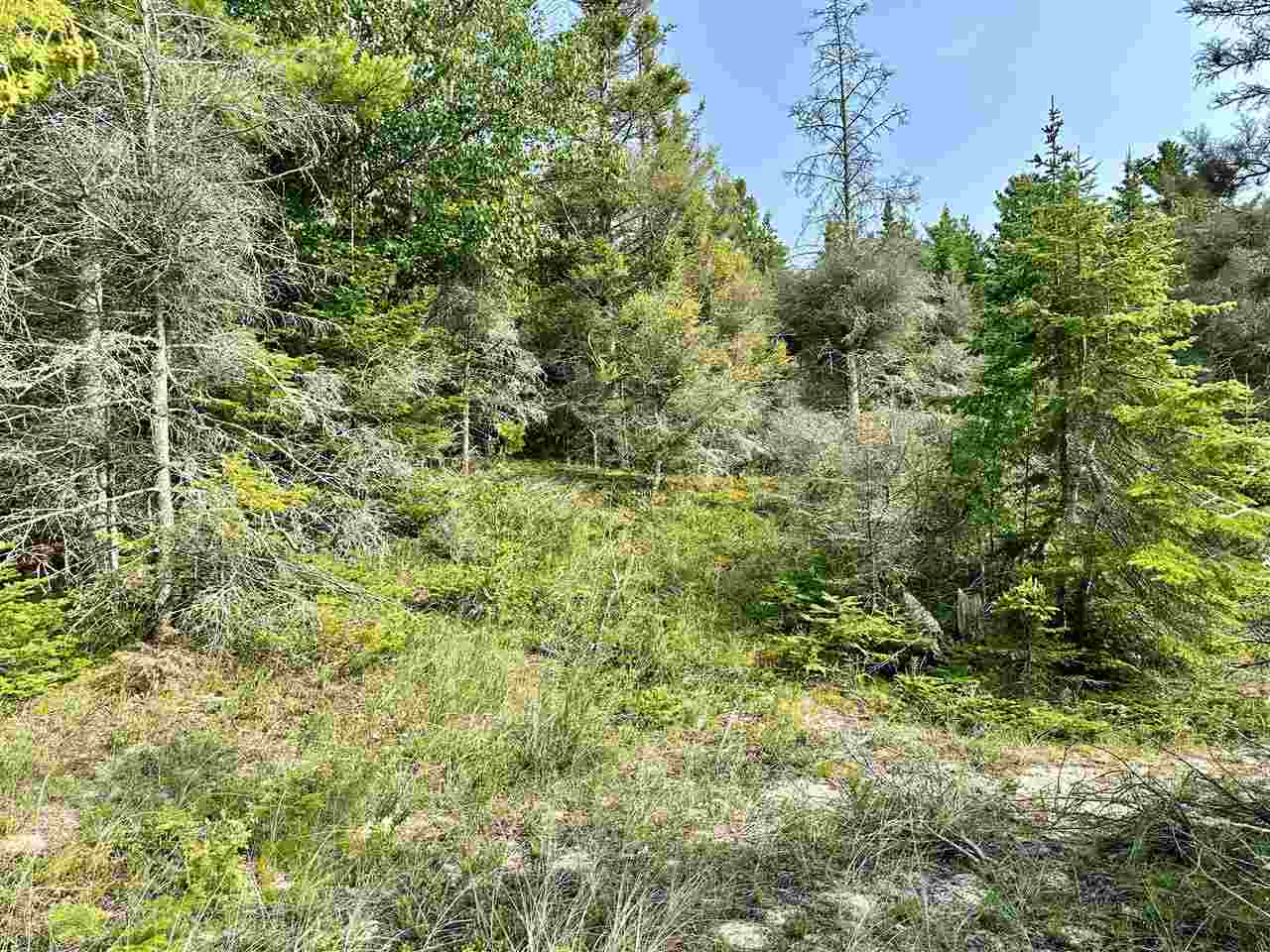 Tbd Western Shores Beaver Island MI 49782