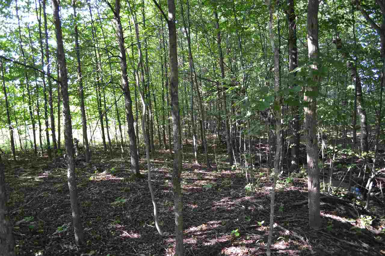 3281 Rogers And Bergmann Road East Jordan MI 49727