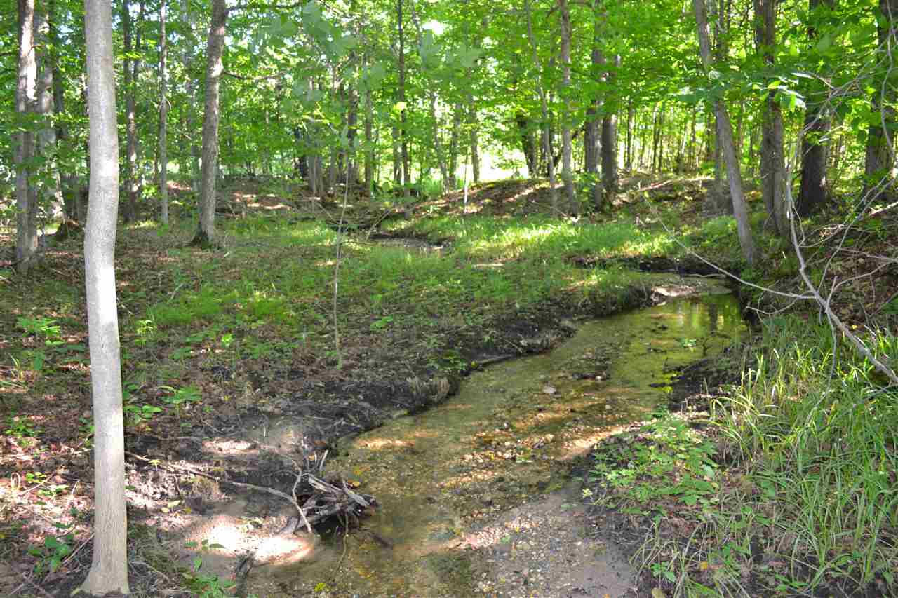 3281 Rogers And Bergmann Road East Jordan MI 49727