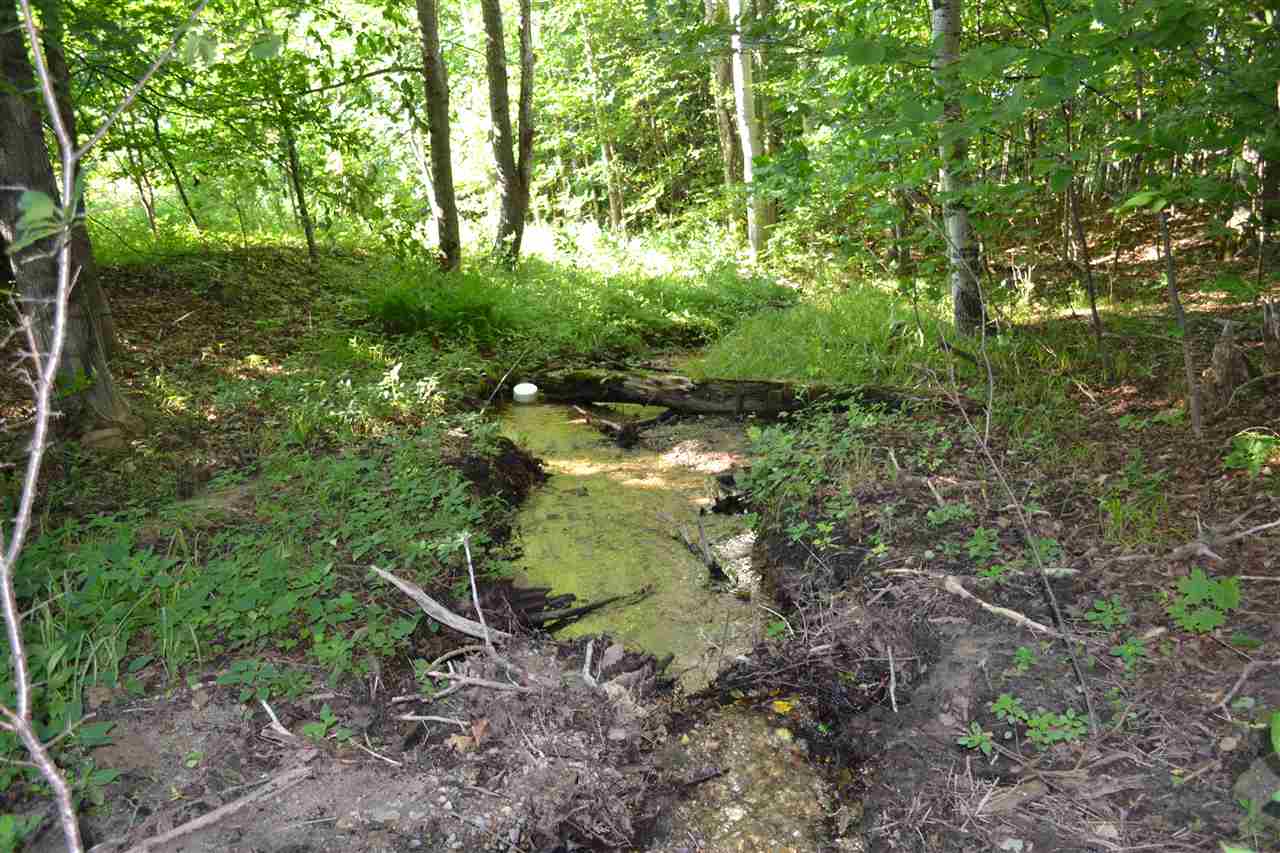 3281 Rogers And Bergmann Road East Jordan MI 49727