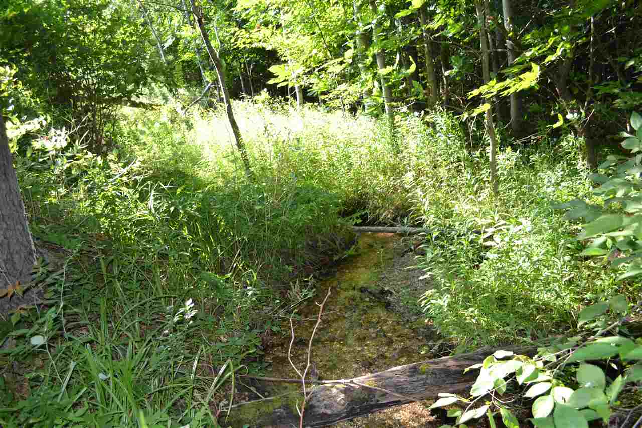 3281 Rogers And Bergmann Road East Jordan MI 49727