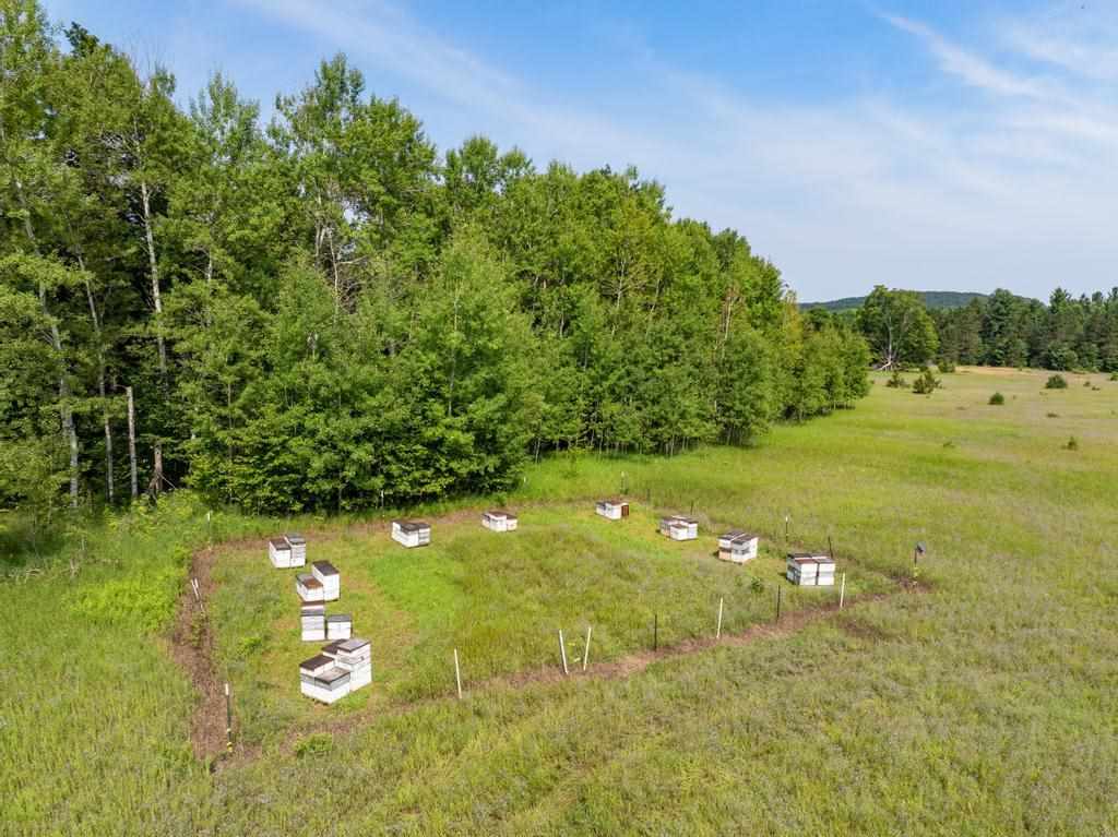 3281 Rogers And Bergmann Road East Jordan MI 49727