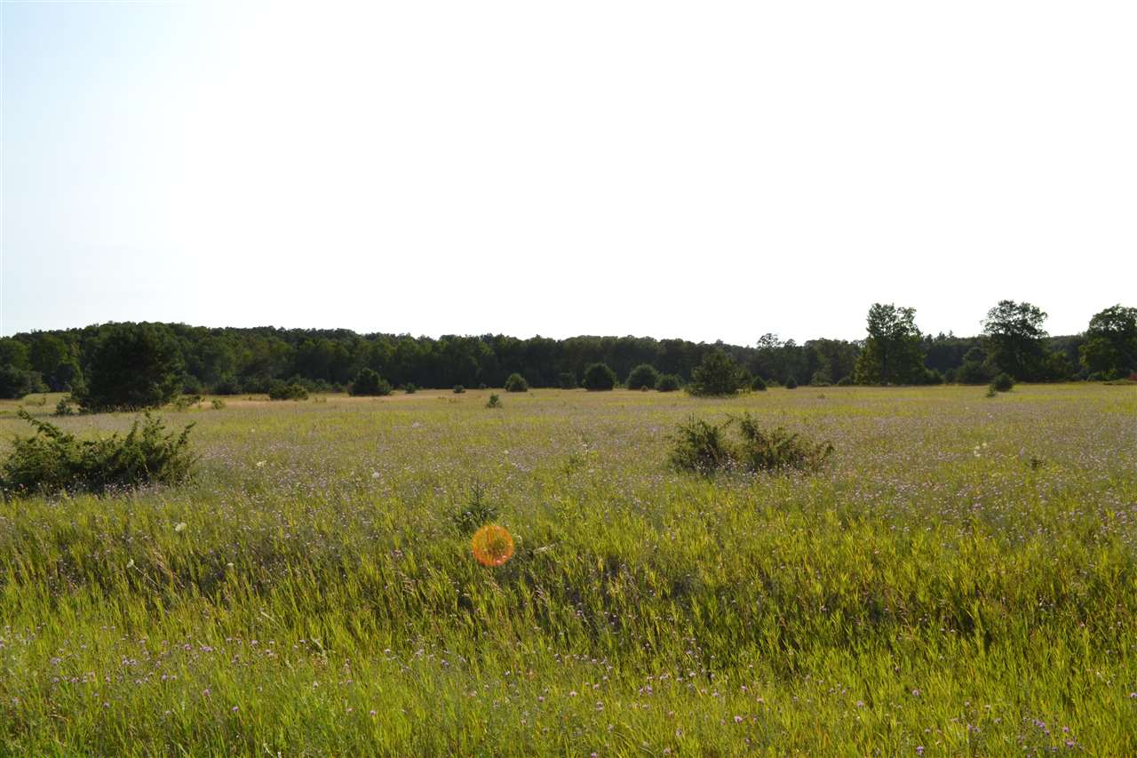 3281 Rogers And Bergmann Road East Jordan MI 49727