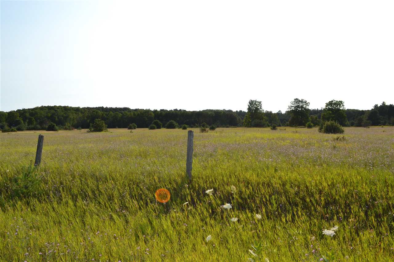 3281 Rogers And Bergmann Road East Jordan MI 49727
