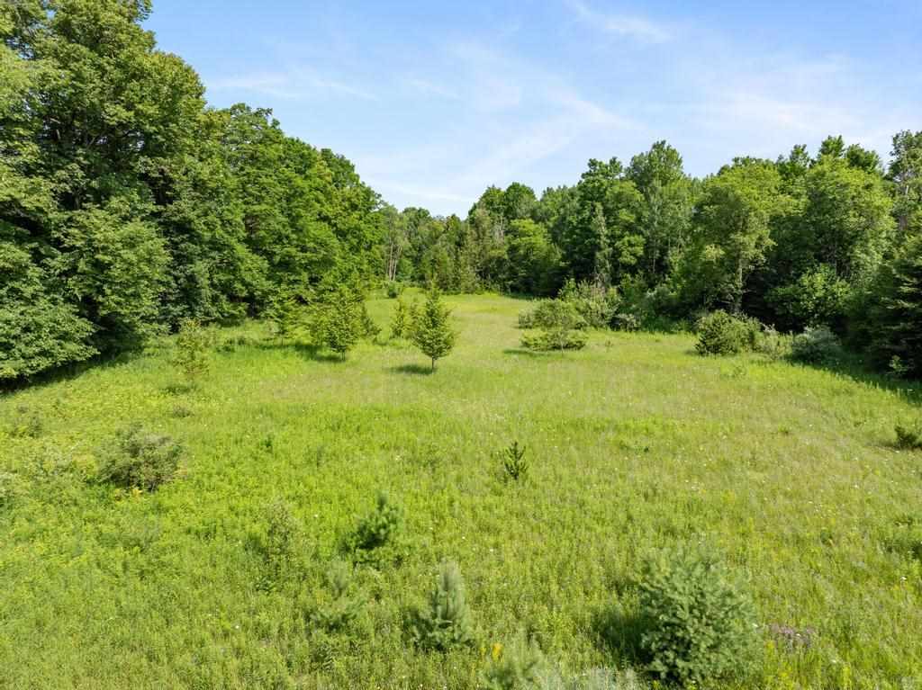 3281 Rogers And Bergmann Road East Jordan MI 49727
