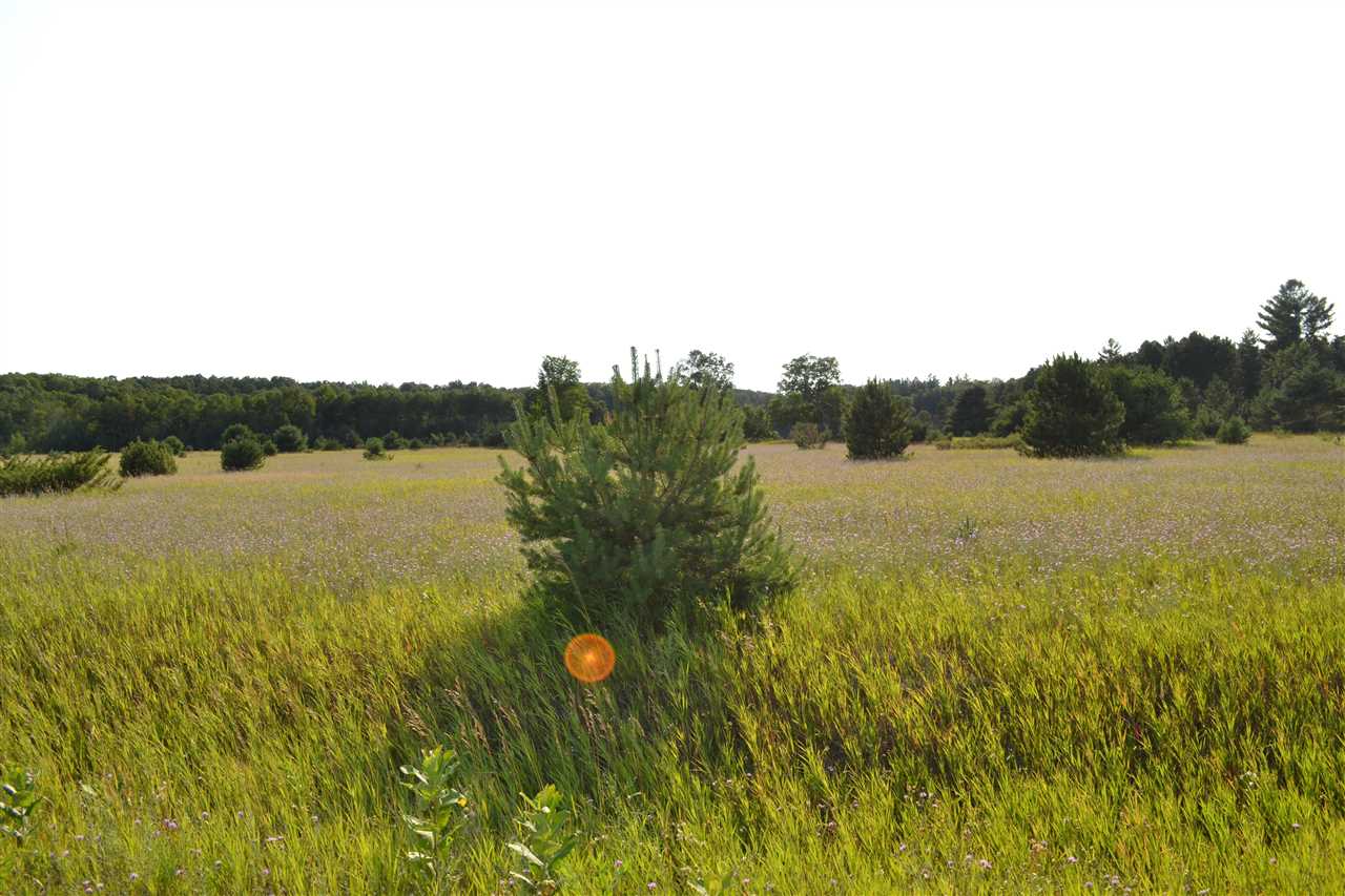 3281 Rogers And Bergmann Road East Jordan MI 49727