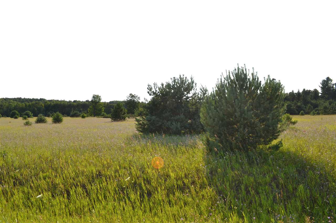 3281 Rogers And Bergmann Road East Jordan MI 49727