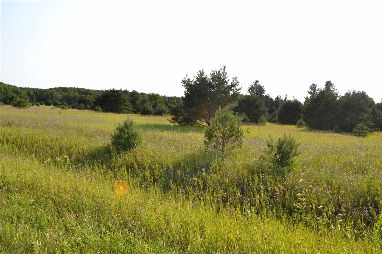 3281 Rogers And Bergmann Road East Jordan MI 49727