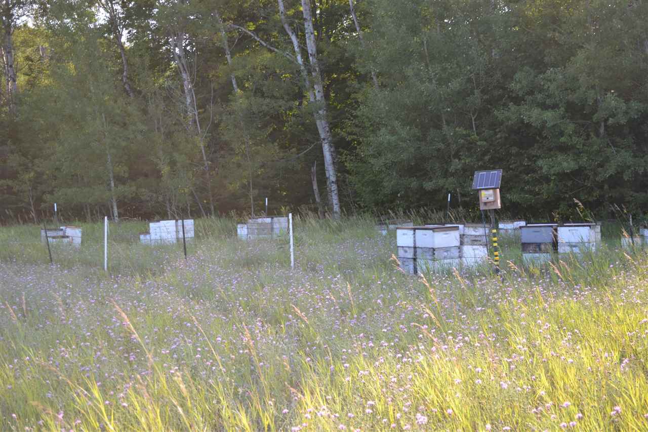 3281 Rogers And Bergmann Road East Jordan MI 49727