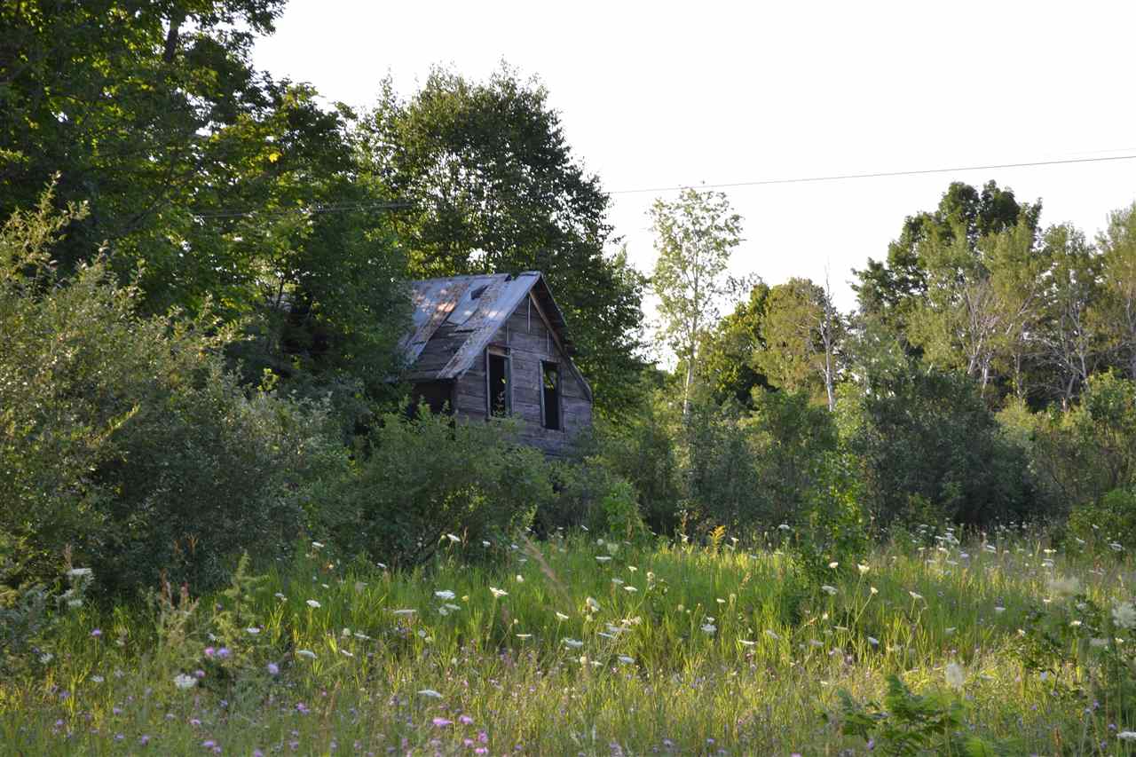 3281 Rogers And Bergmann Road East Jordan MI 49727