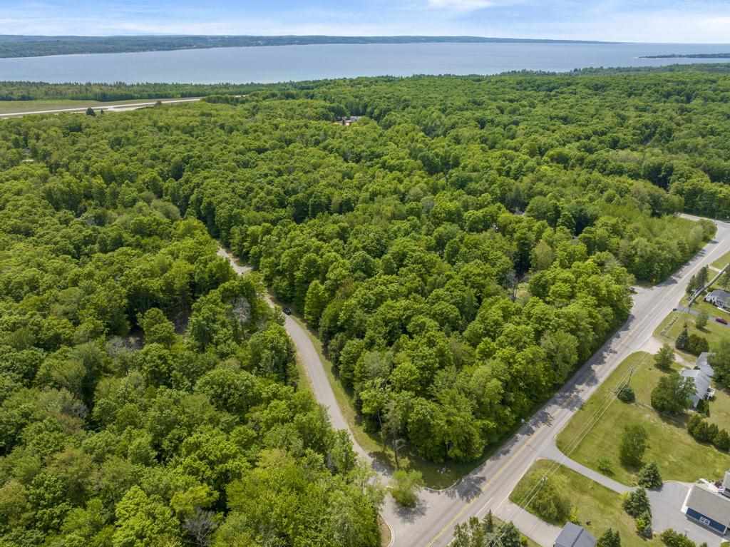 8049 Pleasantview Woods Drive Harbor Springs MI 49740