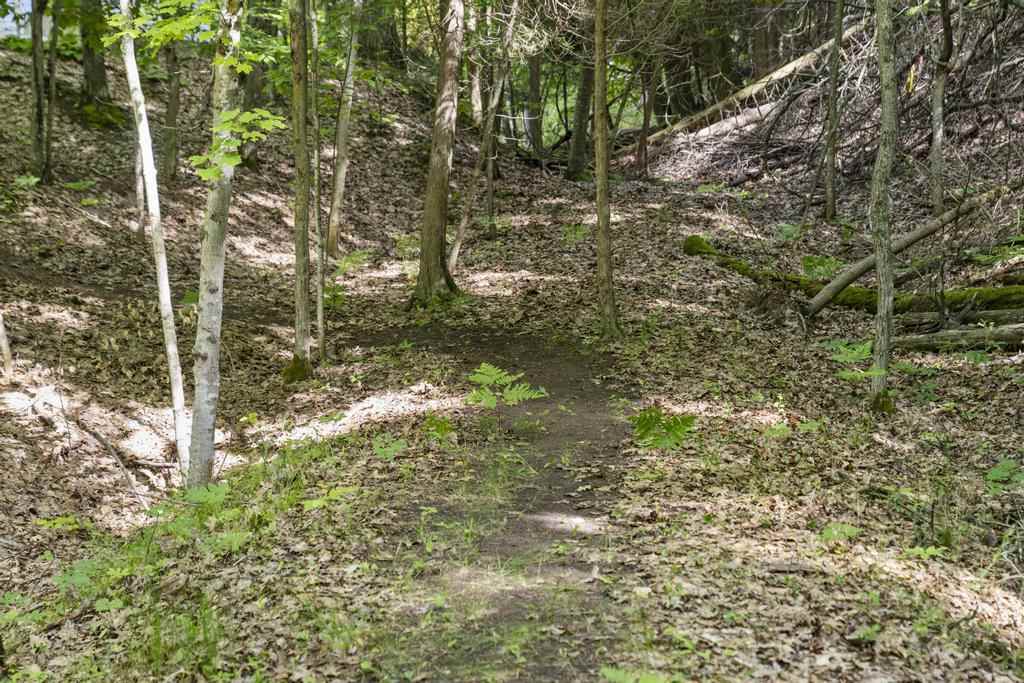 4260 S Lake Shore Drive Harbor Springs MI 49740
