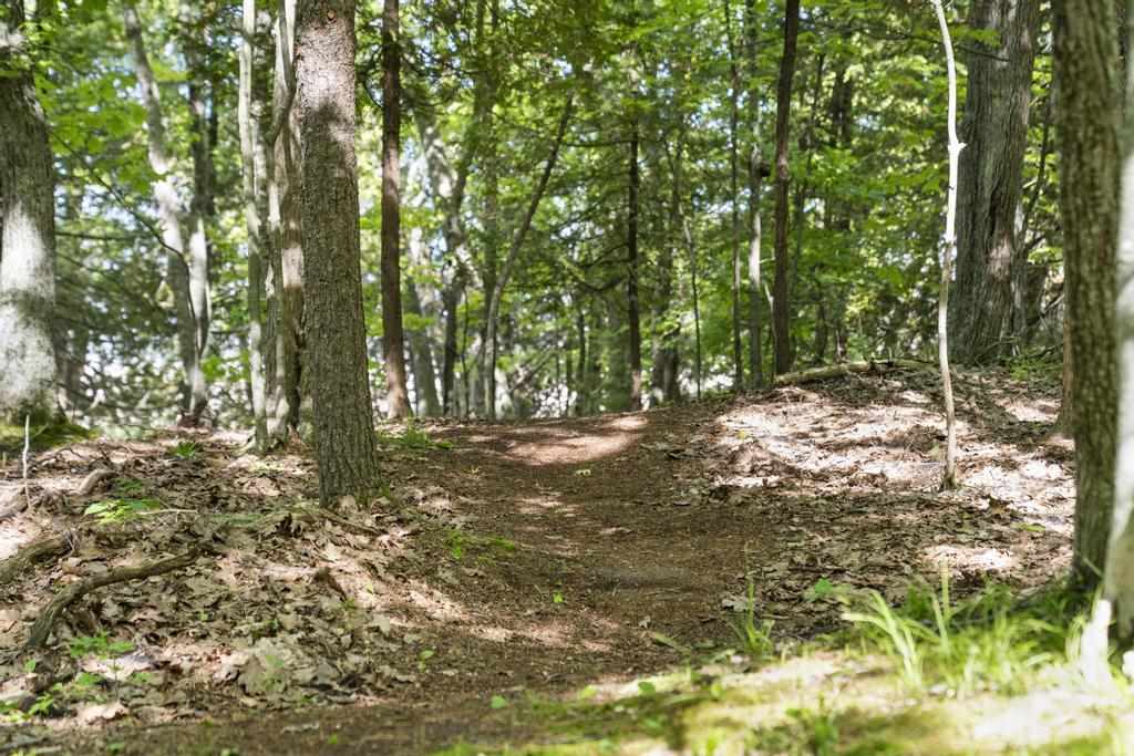 4260 S Lake Shore Drive Harbor Springs MI 49740