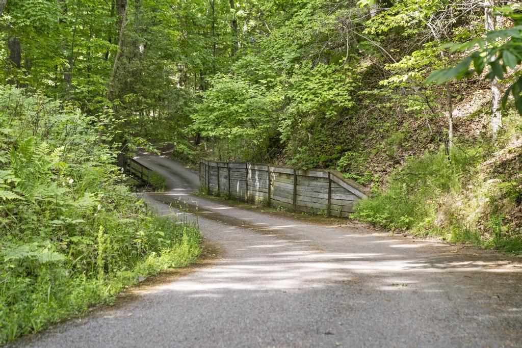 4260 S Lake Shore Drive Harbor Springs MI 49740