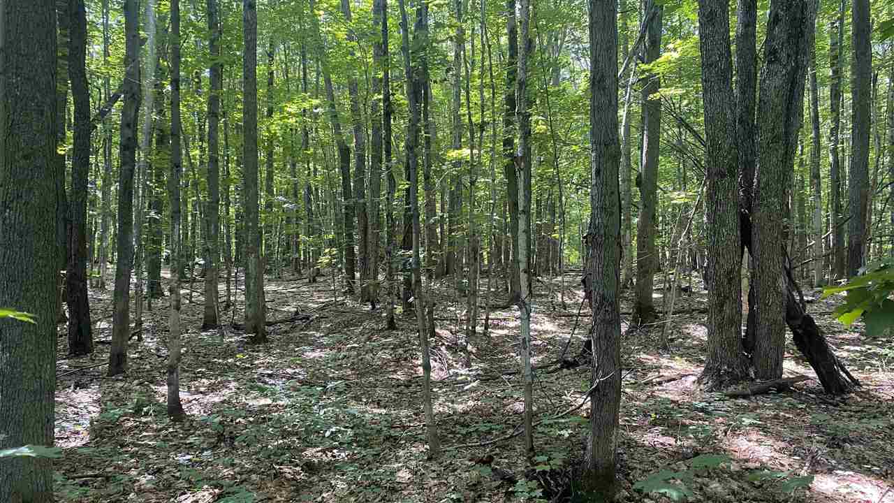 Lot 437 Northwood Drive Elmira MI 49730