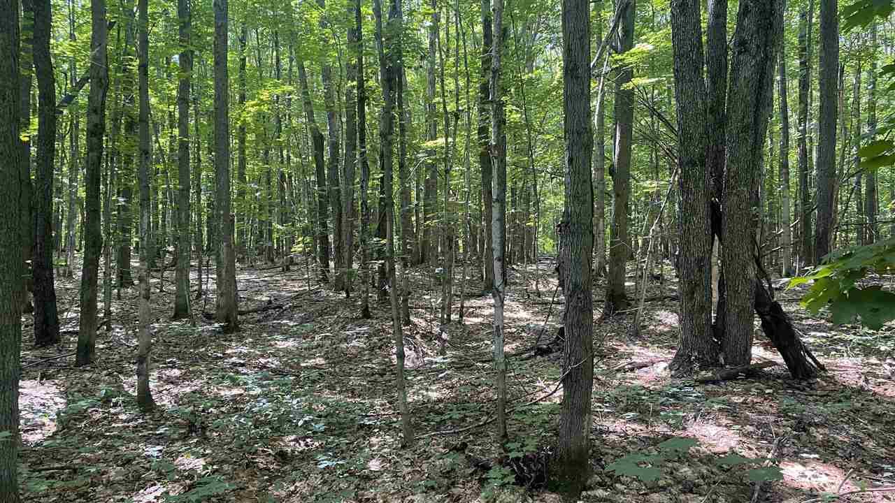 Lot 437 Northwood Drive Elmira MI 49730