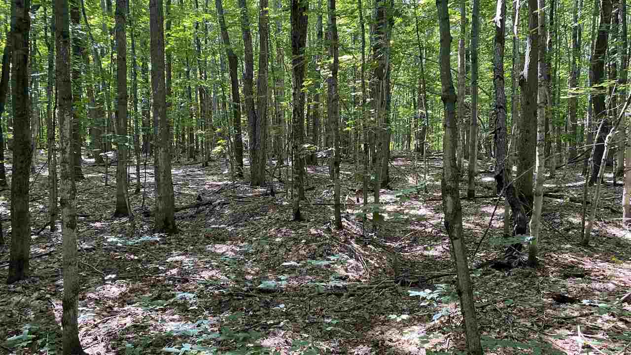 Lot 437 Northwood Drive Elmira MI 49730