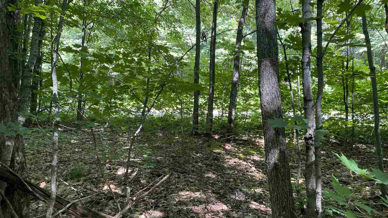 Lot 437 Northwood Drive Elmira MI 49730