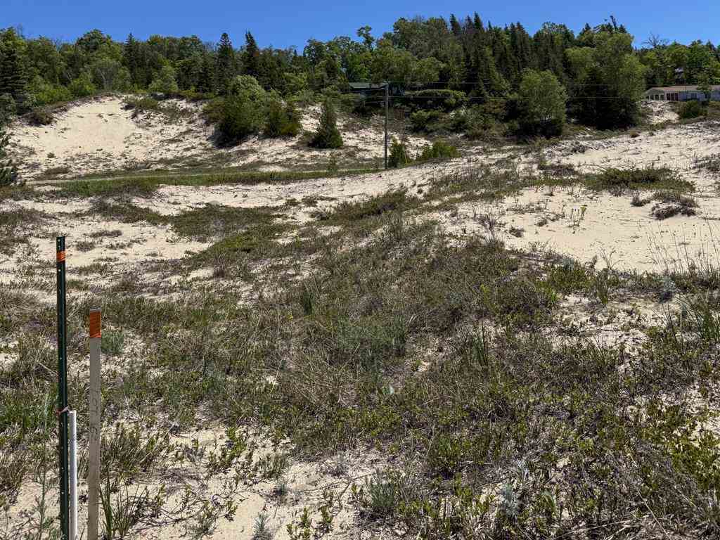Lot 803 Allen's Lakeview Road Beaver Island MI 49782