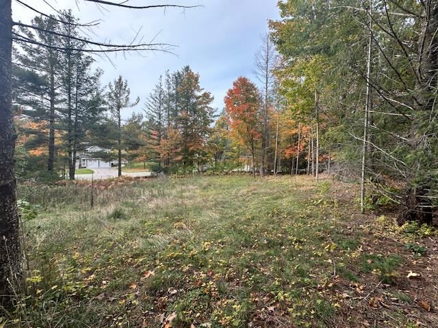 3879 Douglas Court Harbor Springs MI 49740