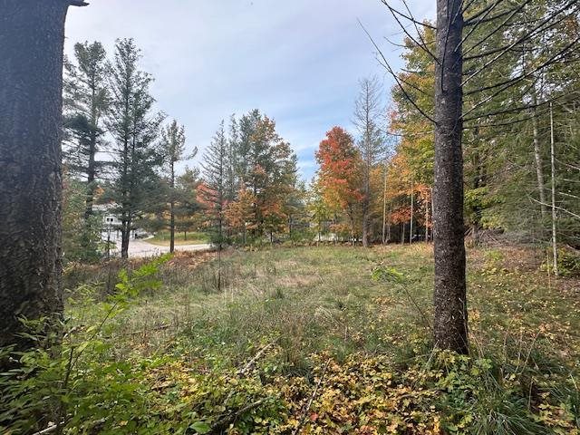 3879 Douglas Court Harbor Springs MI 49740