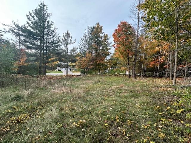 3879 Douglas Court Harbor Springs MI 49740