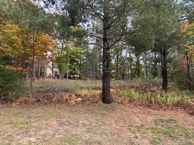 3879 Douglas Court Harbor Springs MI 49740