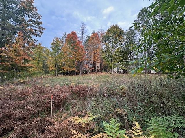 3879 Douglas Court Harbor Springs MI 49740