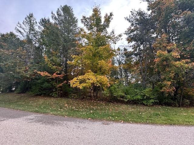 3879 Douglas Court Harbor Springs MI 49740