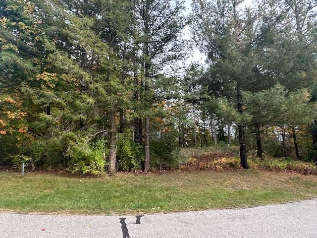 3879 Douglas Court Harbor Springs MI 49740