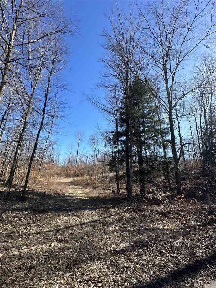 Lot 3 High Pines Trail Boyne City MI 49712