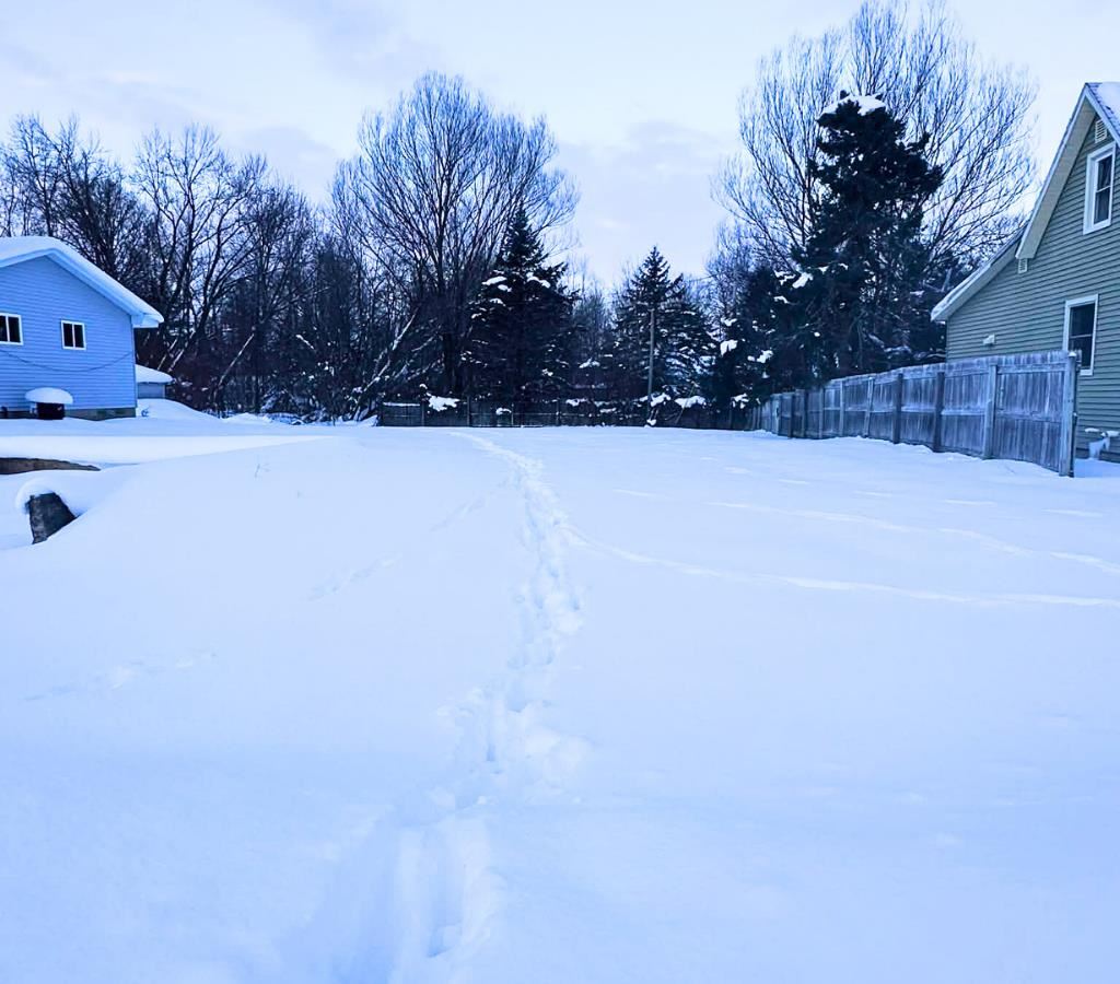 Tbd Hannah Street Boyne City MI 49712