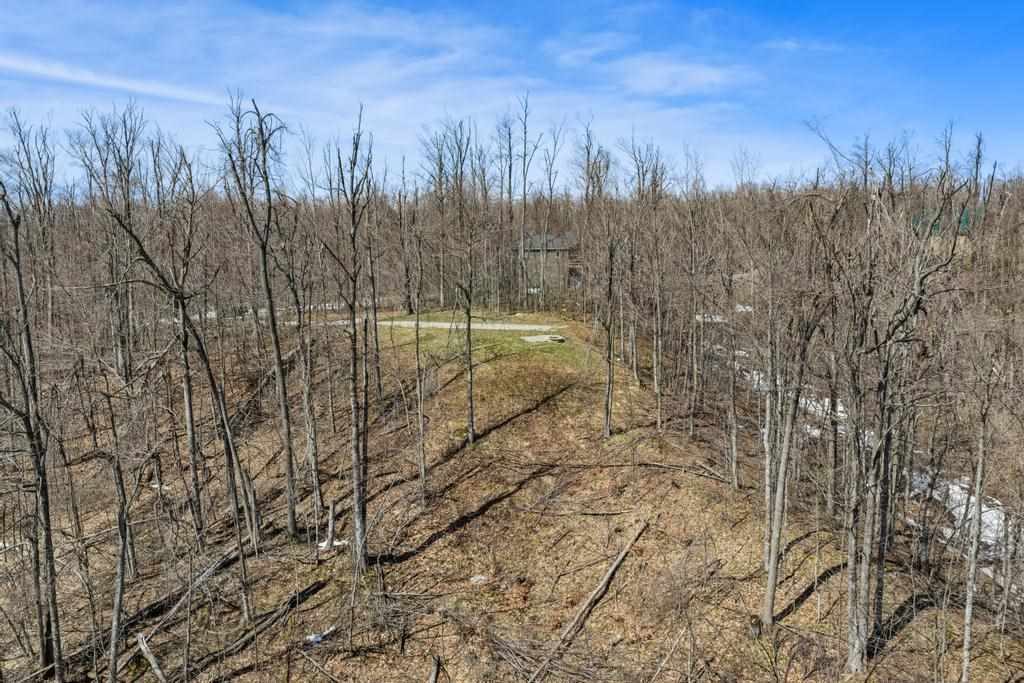 5380 Burt Lake Views Drive Alanson MI 49706