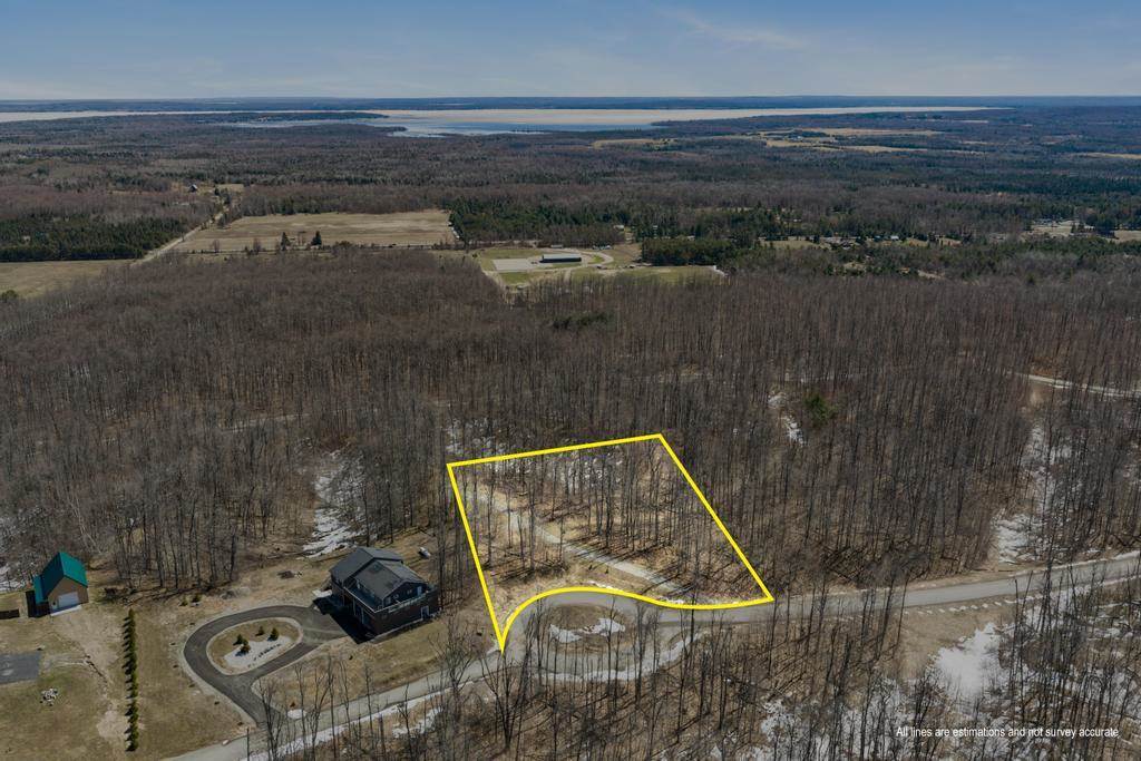 5380 Burt Lake Views Drive Alanson MI 49706