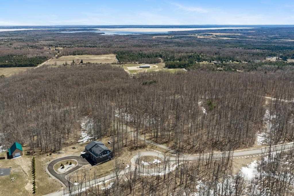 5380 Burt Lake Views Drive Alanson MI 49706