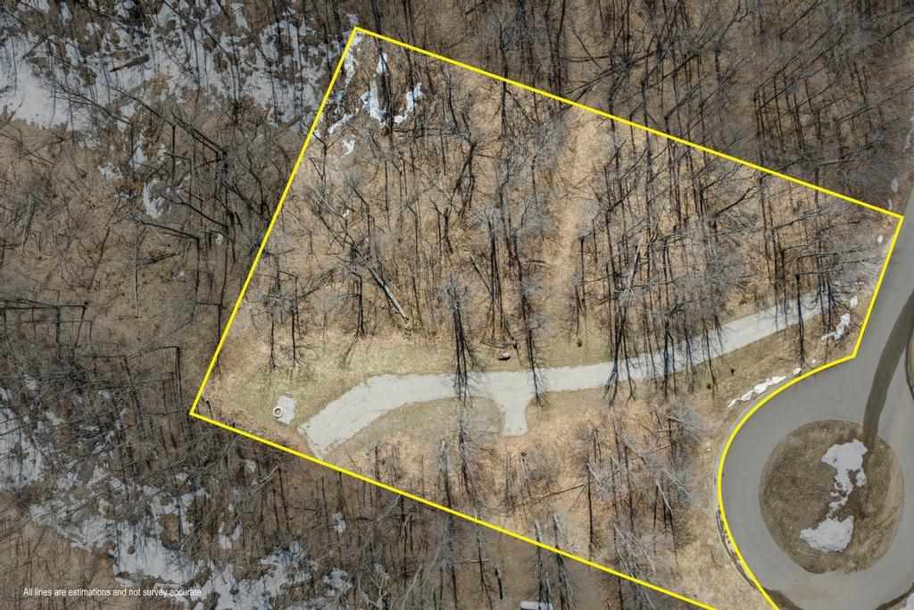 5380 Burt Lake Views Drive Alanson MI 49706