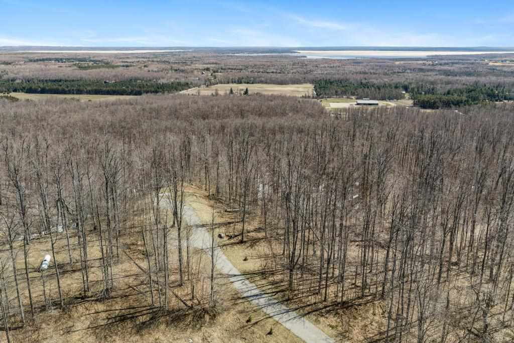 5380 Burt Lake Views Drive Alanson MI 49706