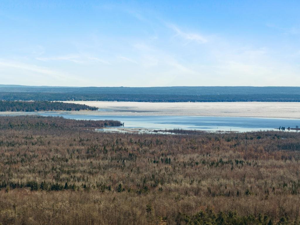 5380 Burt Lake Views Drive Alanson MI 49706