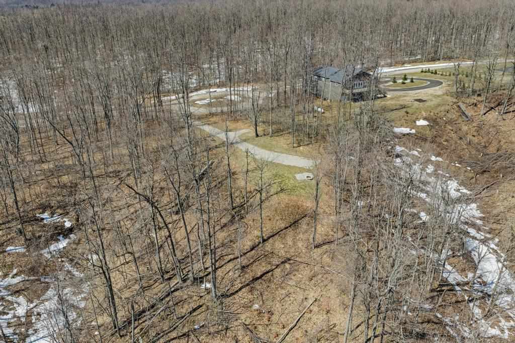 5380 Burt Lake Views Drive Alanson MI 49706