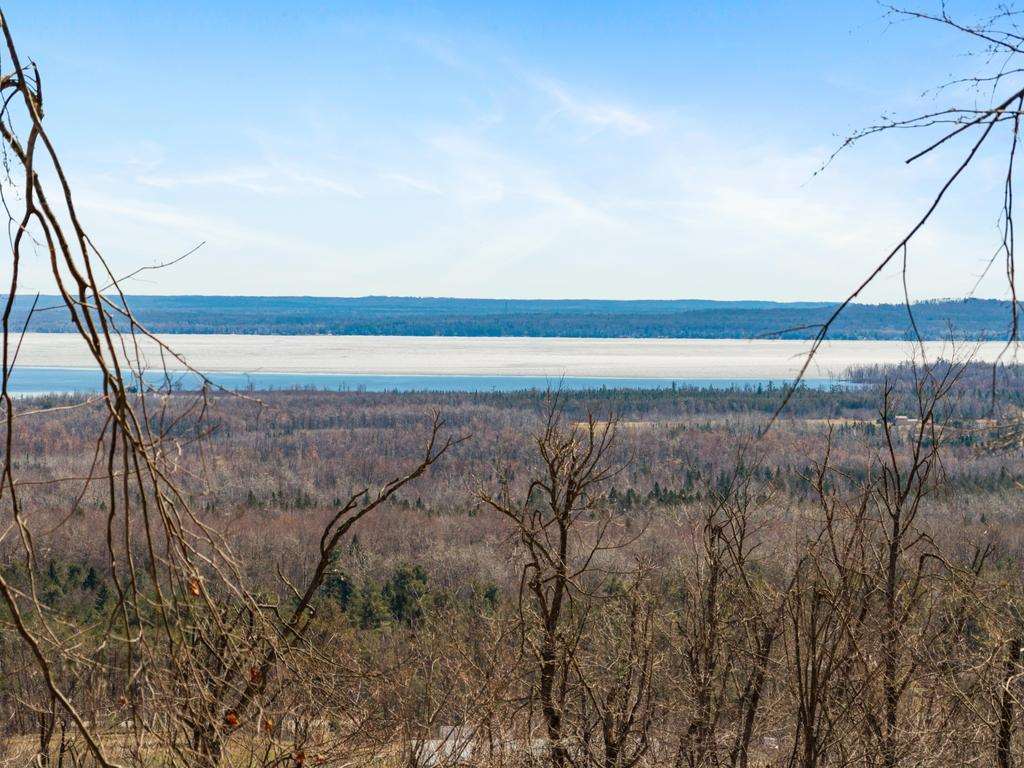 5380 Burt Lake Views Drive Alanson MI 49706